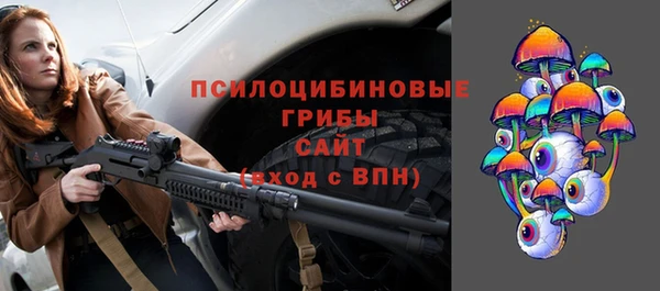 амф Алексин