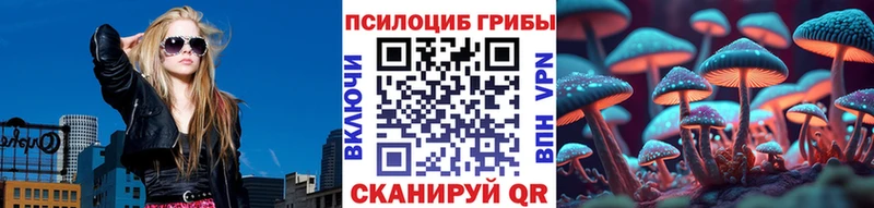 дарнет шоп  Карачев  Галлюциногенные грибы мухоморы 